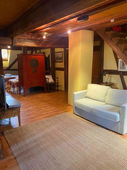 Le Majestueux Dans Le Centre Historique Daire Riquewihr Dış mekan fotoğraf